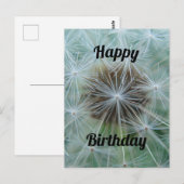 White Dandelion Briefkaart (Voorkant / Achterkant)