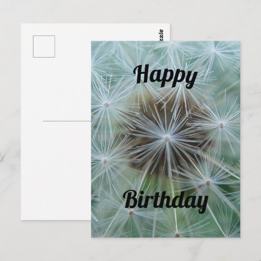 White Dandelion Briefkaart (Voorkant / Achterkant)