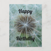 White Dandelion Briefkaart (Voorkant)