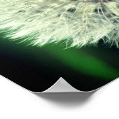 White Dandelion Fluff Sluiten Poster (Hoek)