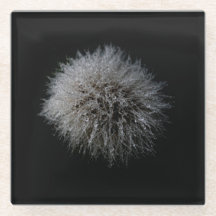 White Dandelion Glass Onderzetter