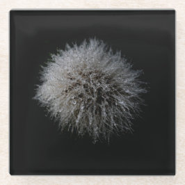 White Dandelion Glass Onderzetter Glazen Onderzetter