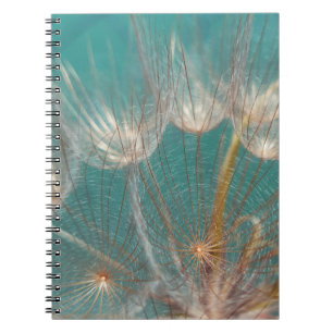 White dandelion in close-up fotografie notitieboek
