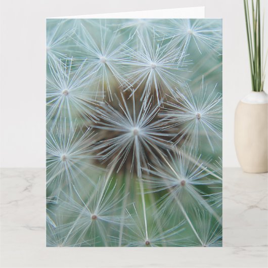 White Dandelion Kaart (Voorkant)