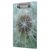 White Dandelion Klembord (Links)