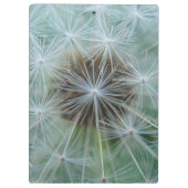 White Dandelion Klembord (Achterkant)