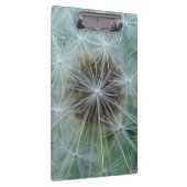 White Dandelion Klembord (Rechts)