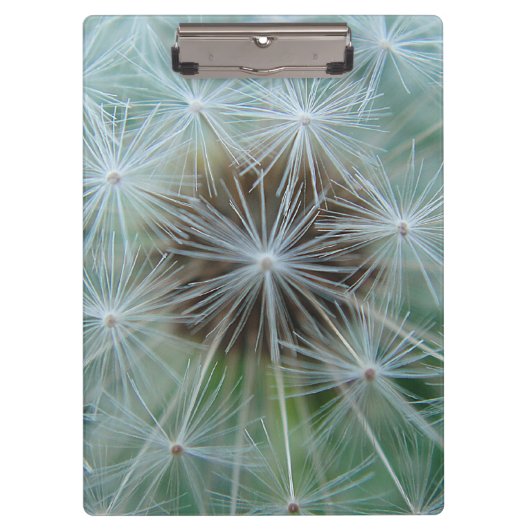 White Dandelion Klembord (Voorkant)
