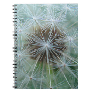 White Dandelion Notitieboek