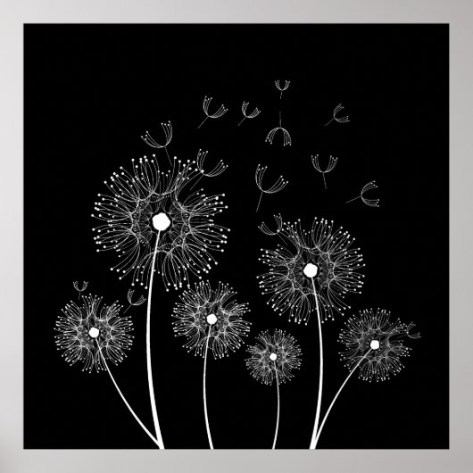 White Dandelions Line Art Poster (Voorkant)