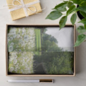 White Dandelions Support a Tired-look Barn Tissuepapier (Geschenk)