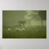 White Deer van Mallow Poster (Voorkant)