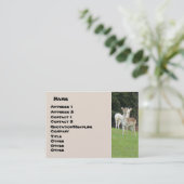 White Deer Visitekaartje (Staand voorkant)