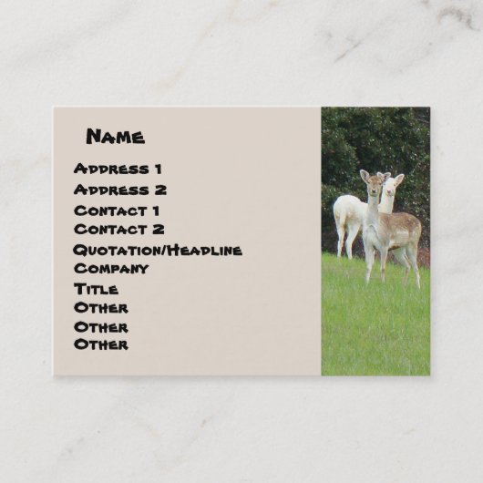 White Deer Visitekaartje (Voorkant)