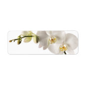 White Dendrobium Orchid Flower Spray Floral Blank Etiket (Voorkant)