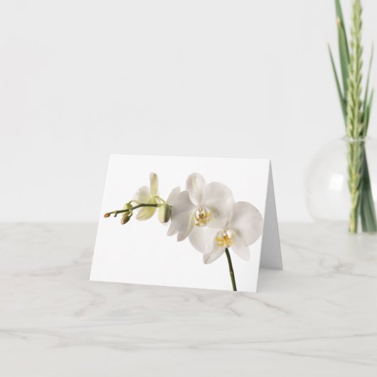 White Dendrobium Orchid Flower Spray Floral Blank Kaart (Voorkant)