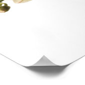 White Dendrobium Orchid Flower Spray Floral Blank Poster (Hoek)