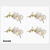 White Dendrobium Orchid Flower Spray Floral Blank Rechthoekige Sticker (Vel)