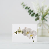 White Dendrobium Orchid Flower Spray Floral Blank Visitekaartje (Staand voorkant)