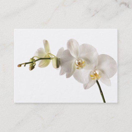 White Dendrobium Orchid Flower Spray Floral Blank Visitekaartje (Voorkant)