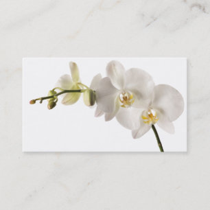 White Dendrobium Orchid Flower Spray Floral Blank Visitekaartje