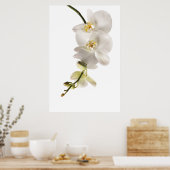 White Dendrobium Orchid Flower Spray Floral Poster (Keuken)