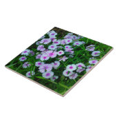 White Dianthus Flower Tegel Tegeltje (Zijkant)