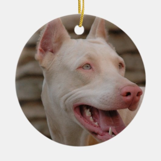 White Doberman Ornament (Voorkant)