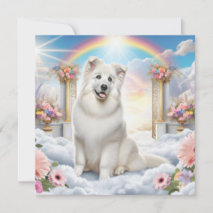 White Dog bij Rainbow Bridge in Heaven Art