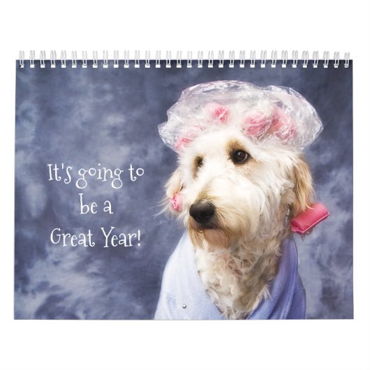 White Dog Funny Calendar Golden Doodle Kalender (Hoes)