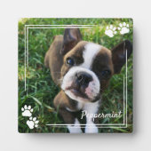 White Dog Paw Print Lijst Dog Foto & Name Fotoplaat (Voorkant)