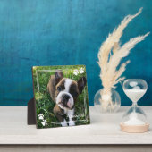 White Dog Paw Print Lijst Dog Foto & Name Fotoplaat (Insitu)