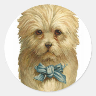 White Dog Stickers