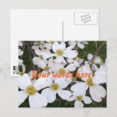 White Dogwood bloeit je woorden Briefkaarten (Voorkant / Achterkant)