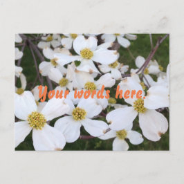 White Dogwood bloeit je woorden Briefkaarten