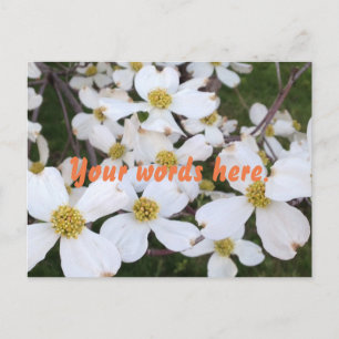White Dogwood bloeit je woorden Briefkaarten