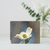 White Dogwood Bloom Kaart (Staand voorkant)