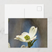 White Dogwood Bloom Kaart (Voorkant / Achterkant)