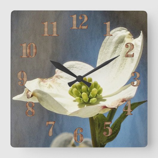 White Dogwood Bloom Vierkante Klok (Voorkant)