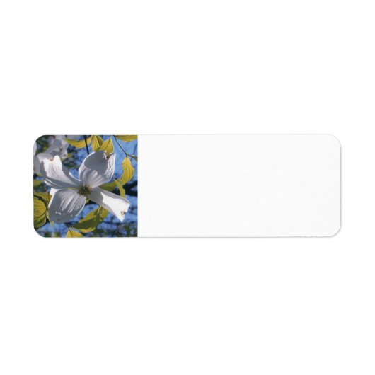 White Dogwood Blossom Custom Return Adres Label (Voorkant)