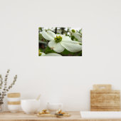 White Dogwood Blossom Poster (Keuken)