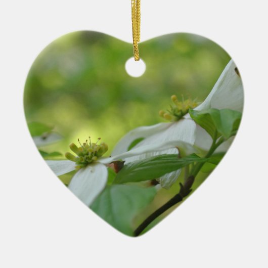White Dogwood Blossoms Flower Ornament (Voorkant)