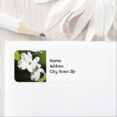  White Dogwood Floral Foto Etiket (Insitu)