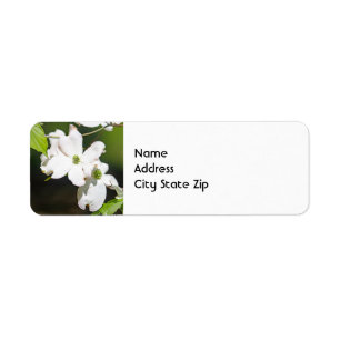 White Dogwood Floral Foto Etiket