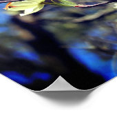 White Dogwood Flower Blossom Poster (Hoek)