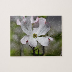 White Dogwood Flower Legpuzzel