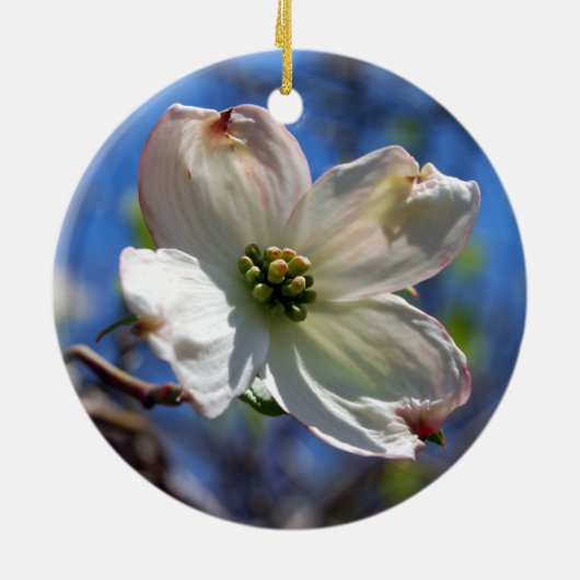 White Dogwood Flower ornament (Achterkant)