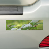 White Dogwood Flower Photo Bumpersticker (Op auto)