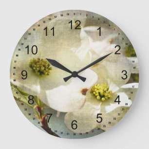 White Dogwood Flowers Grote Klok
