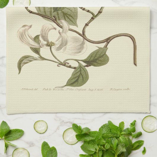 White Dogwood Flowers Illustration Theedoek (Gevouwen)